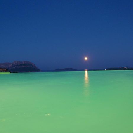 Villa&pool Tavolara view Porto Istana Exterior foto